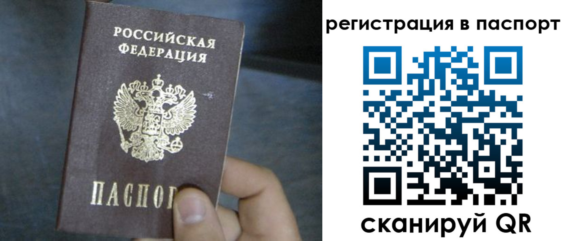 прописка 2025 в Вышнем Волочке